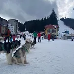 Castle * Пампорово