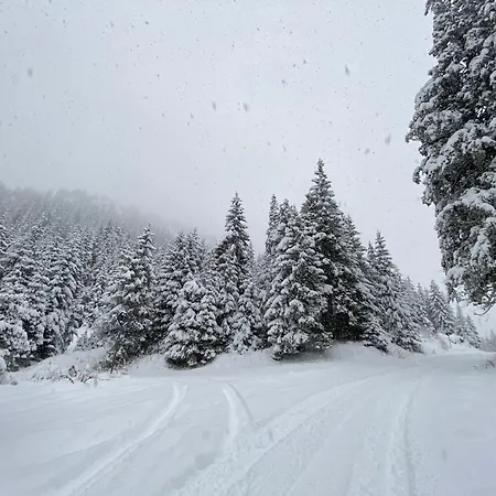 Castle アパート *