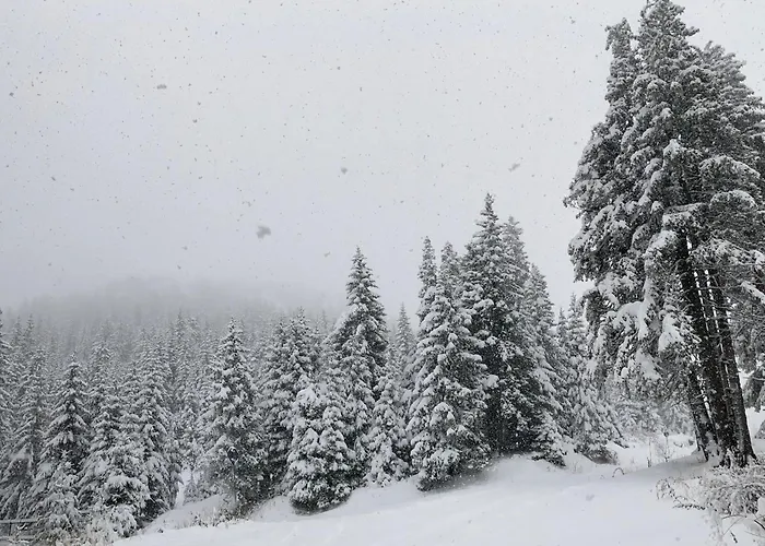 Castle * פמפורובו