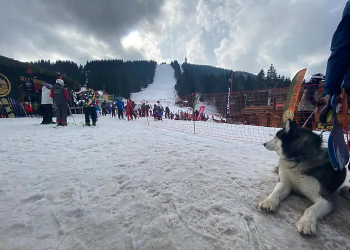 Castle דירה פמפורובו