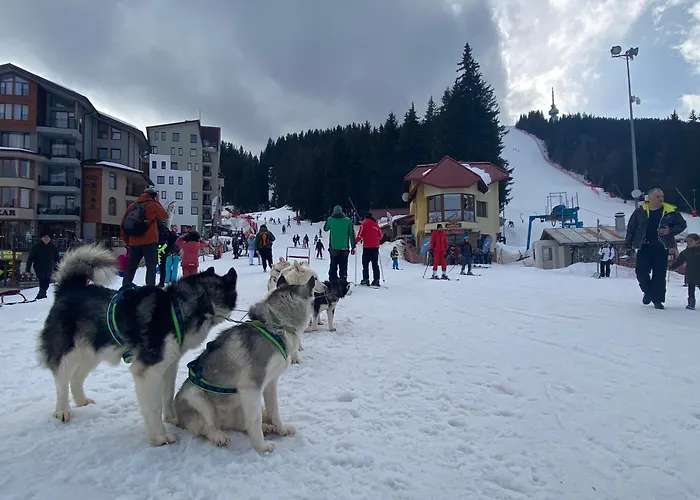 Castle * פמפורובו